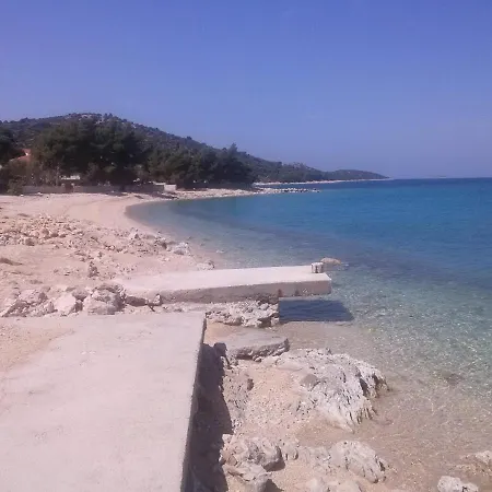 Olive Grove * Rogoznica (Sibenik-Knin)