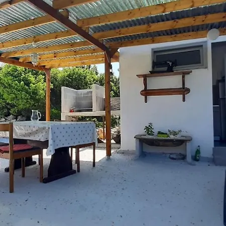 Olive Grove *