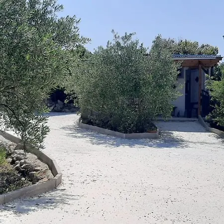 Olive Grove Rogoznica (Sibenik-Knin)