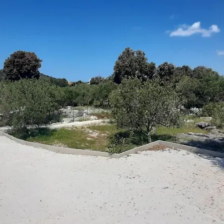 Olive Grove * Rogoznica (Sibenik-Knin)