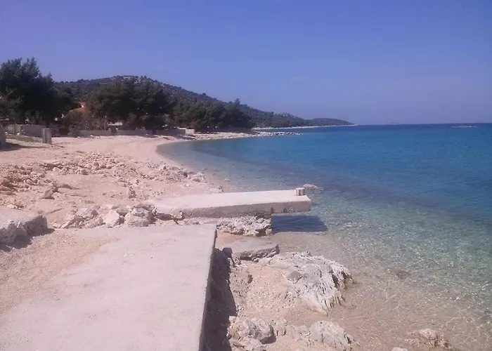 Olive Grove * Rogoznica (Sibenik-Knin)