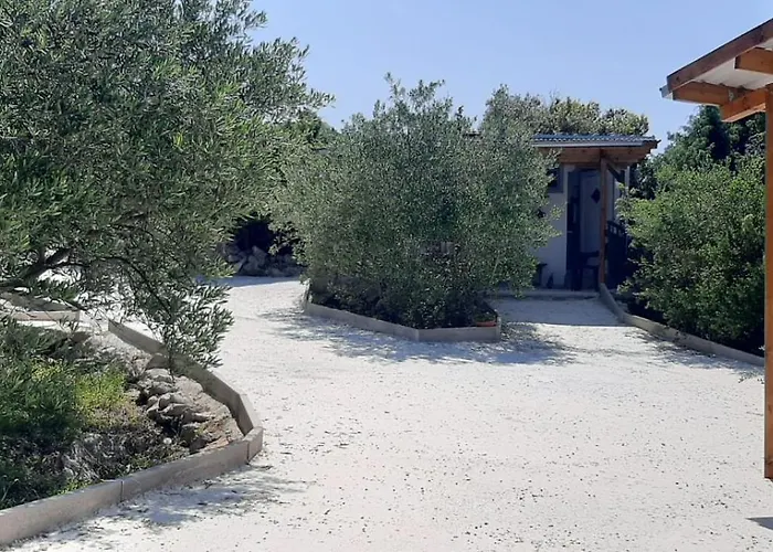 Olive Grove Rogoznica (Sibenik-Knin)