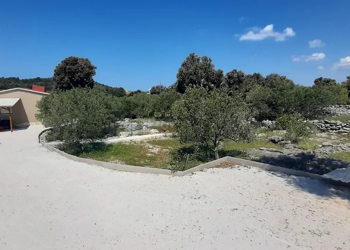 Olive Grove * Rogoznica (Sibenik-Knin)